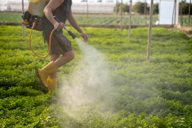 Best Pest Prevention Services  in Keokuk, IA