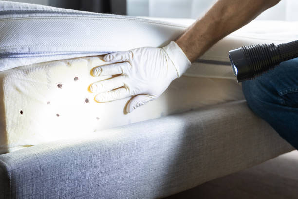 Best Pest Removal Services  in Keokuk, IA