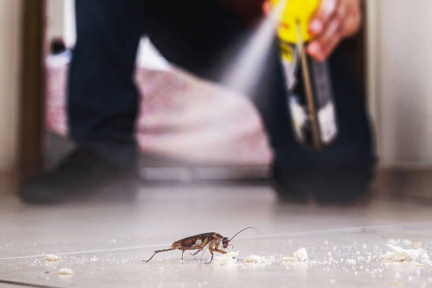 Best Commercial Pest Control Services  in Keokuk, IA